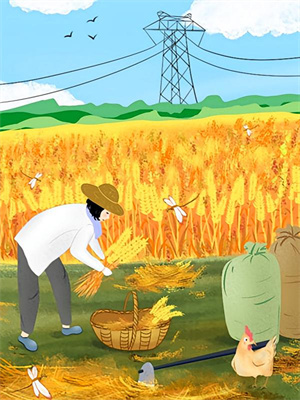 蘇音系統小說全文