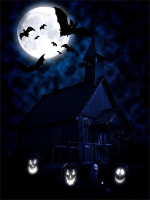 姜欣欣陸柏舟大結局